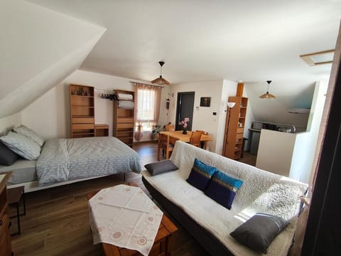Bed, Kitchen or kitchenette, Living room, Photo of the whole room, Seating area, Dining area