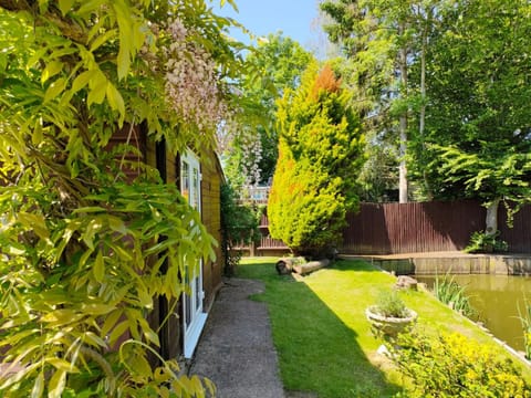 Patio, Garden, Garden view