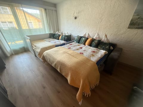 Andys Enzian Apartment in Tyrol