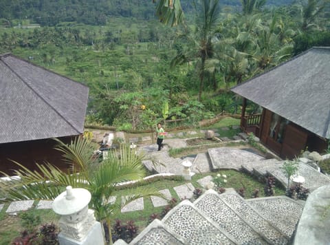Embang Homestay Bed and Breakfast in Sidemen