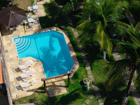 Day, Garden, Garden view, Pool view, Swimming pool, sunbed