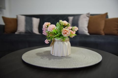 Stan na dan Brcko 2025 Apartment in Federation of Bosnia and Herzegovina