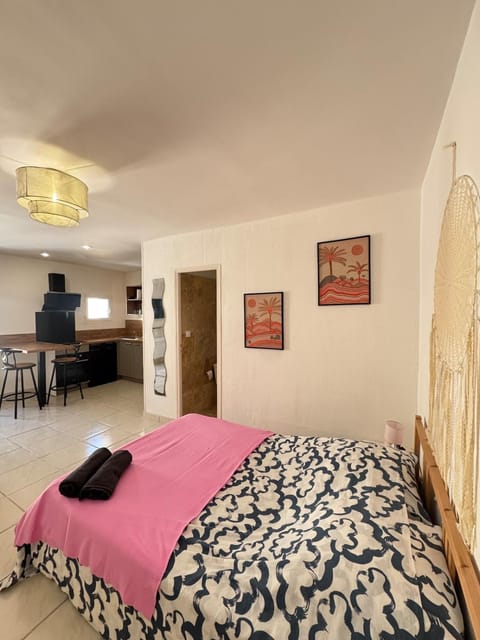 magnifique Studio centre historique n5 Apartment in Villeneuve-lès-Avignon