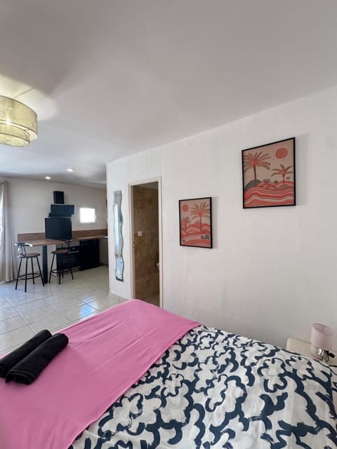 magnifique Studio centre historique n5 Apartment in Villeneuve-lès-Avignon