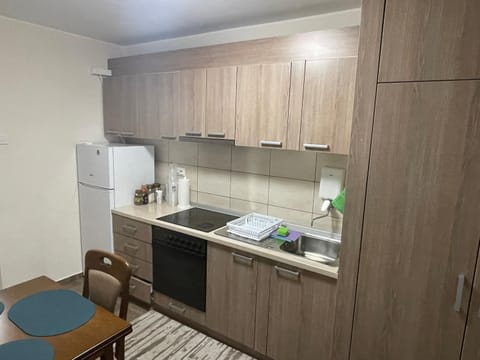 Nele Apartment in Timiș County