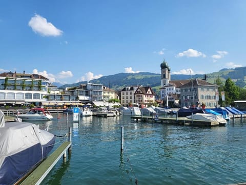 Charming, quiet and close to nature apartment Apartment in Canton of Zurich