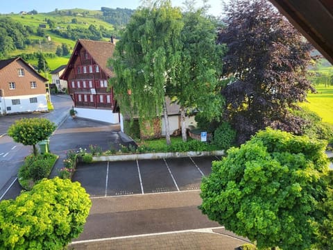 Charming, quiet and close to nature apartment Apartment in Canton of Zurich