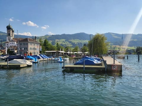 Charming, quiet and close to nature apartment Apartment in Canton of Zurich