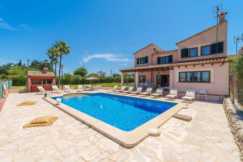 Patio, Garden, Garden view
