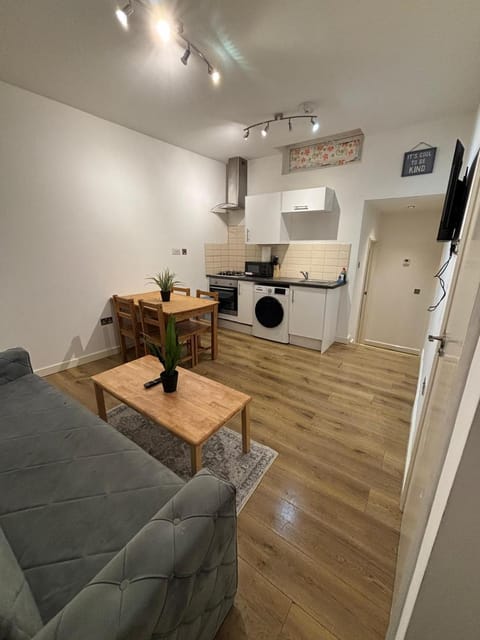 Kitchen or kitchenette, Living room, Seating area, Dining area, oven, stove, washing machine