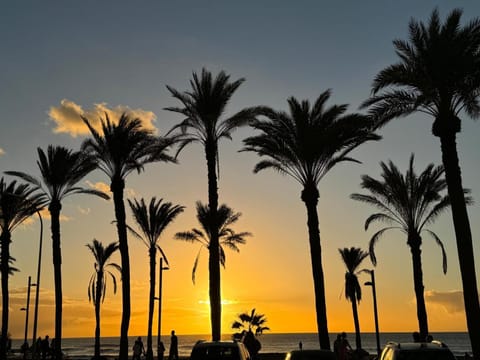 Natural landscape, Sunset
