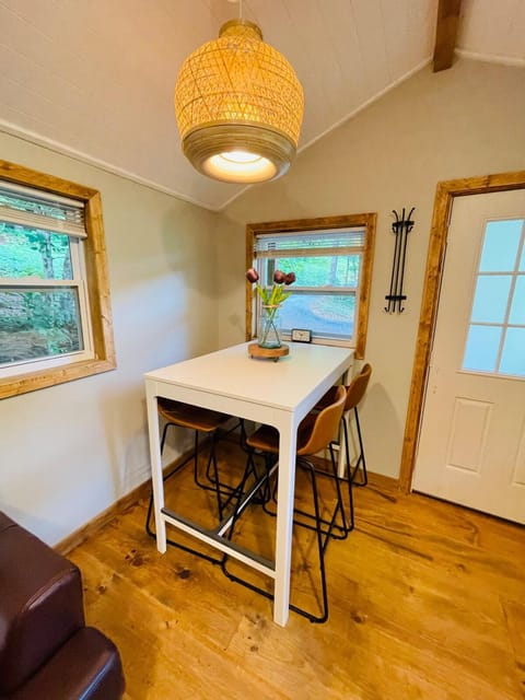 Jai Hollow Tiny Home Cottage House in Stecoah