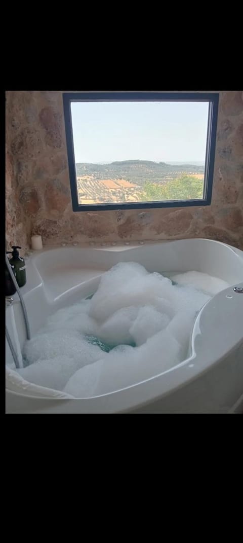 Natural landscape, Hot Tub, Bathroom
