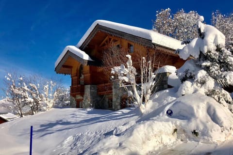Chalet Altaïr Chalet in Les Allues