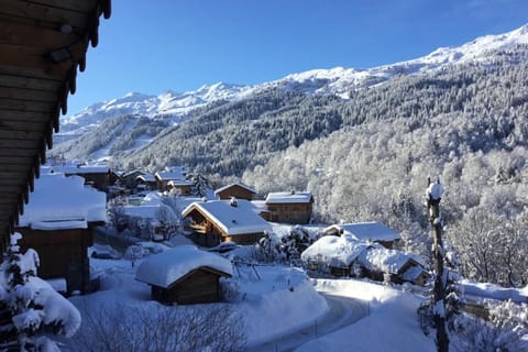 Chalet Altaïr Chalet in Les Allues