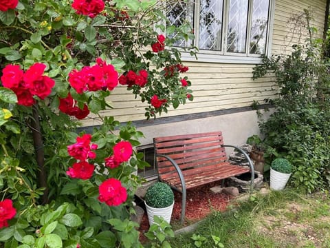 Beloved Family Nest House in Vilnius