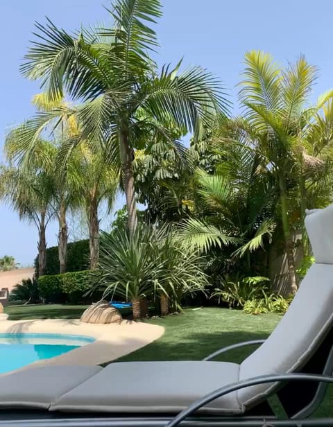 Spring, Day, Garden, Garden view, Pool view, Swimming pool, sunbed