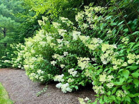 Beautiful House in the Woods, Huge Yard, Hot Tub House in Great Barrington