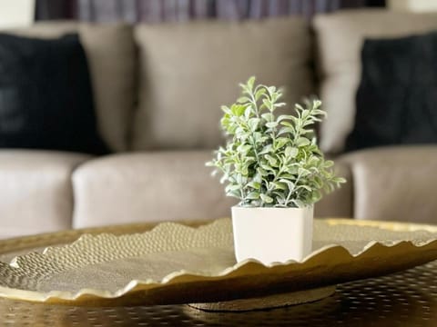 Parkland Home KING 2Bedroom Townhome in Evv Apartment in Evansville