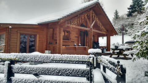 Property building, Day, Winter