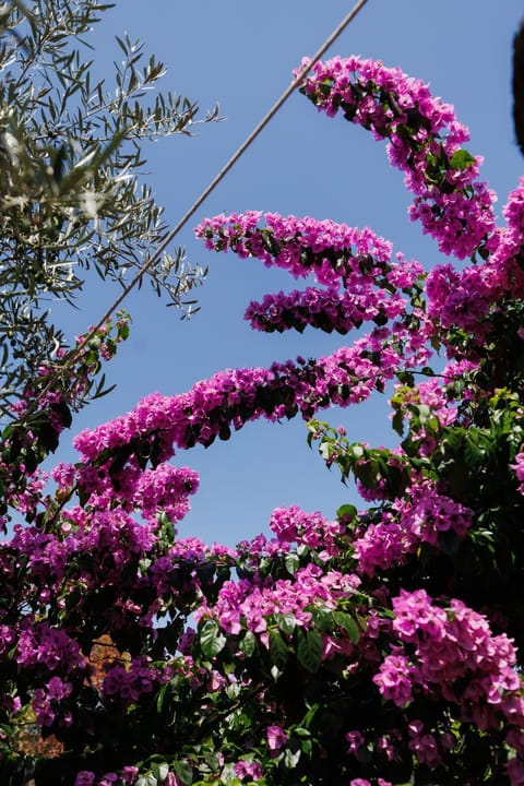 Karantanovi Dvori Apartment in Murter