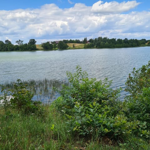 Lake view