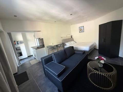 Bed, TV and multimedia, Kitchen or kitchenette, Living room, Photo of the whole room, Seating area, Dining area, Bedroom