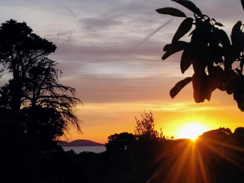 La casa rossa Apartment in Alghero
