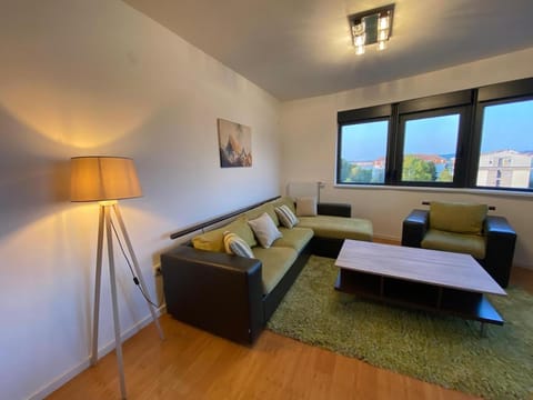 Panoramic View Apartment Apartment in Serbia