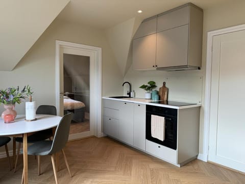 Kitchen or kitchenette, oven, stove