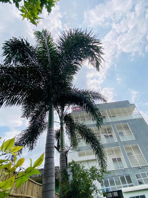 Property building, Day