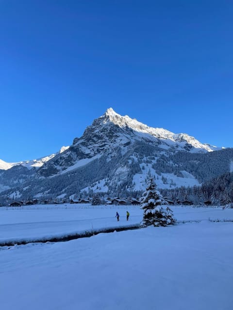 Cute chalet in Kandersteg Apartment in Canton of Valais