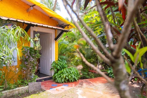 Property building, Garden, Garden view