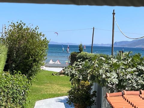 Garden, Garden, Beach
