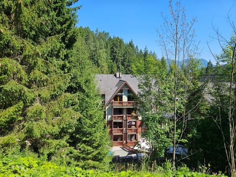 Property building, Mountain view