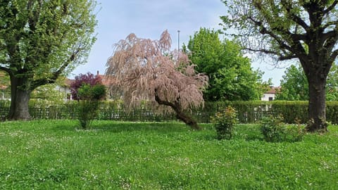Garden, Garden view