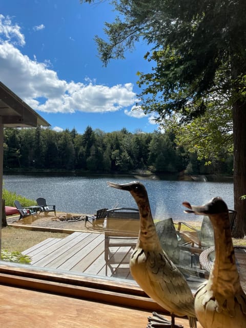 Lake view