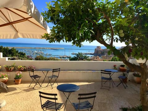 Patio, Day, Garden