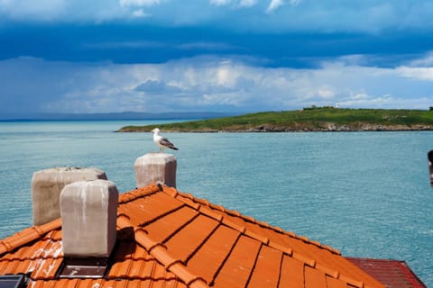 Sea view