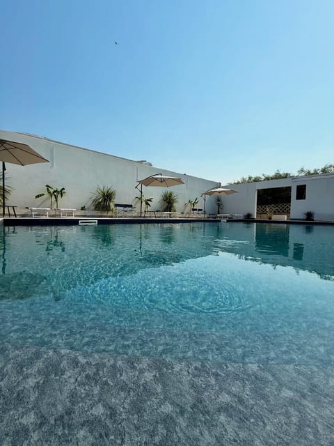Day, Pool view, Swimming pool, sunbed