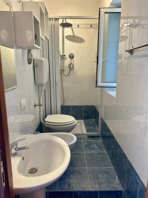 Shower, Toilet, Bathroom, bidet