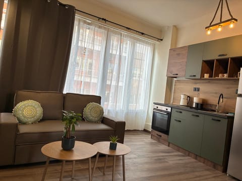 Olive House Apartment in Pieria, Greece