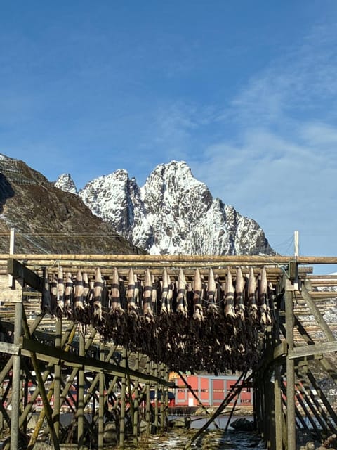 House by the sea, Ballstad Lofoten House in Lofoten