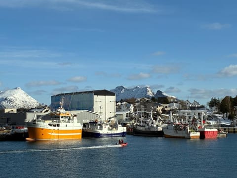 House by the sea, Ballstad Lofoten House in Lofoten