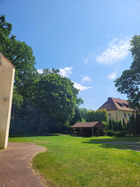 Day, Natural landscape, Garden, Garden view