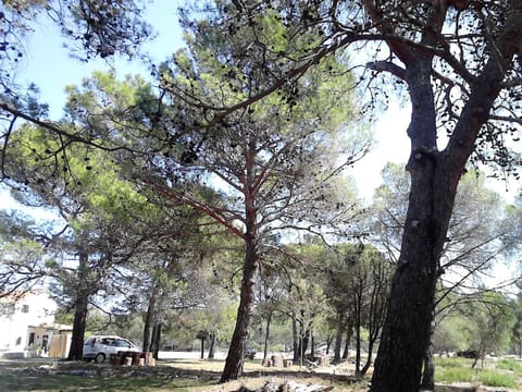 Natural landscape, View (from property/room)
