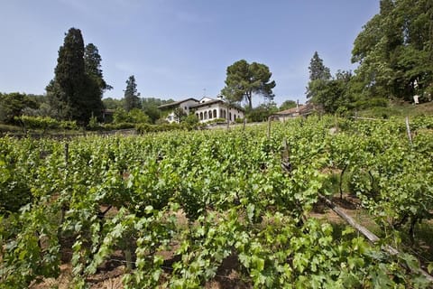 Property building, Spring, Day, Bird's eye view, On site, Garden view, Garden view