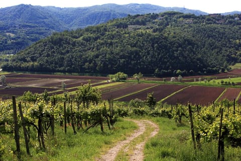 Nearby landmark, Neighbourhood, Natural landscape, View (from property/room), On site