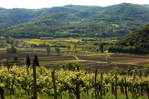Spring, Day, Neighbourhood, Natural landscape, Other, On site
