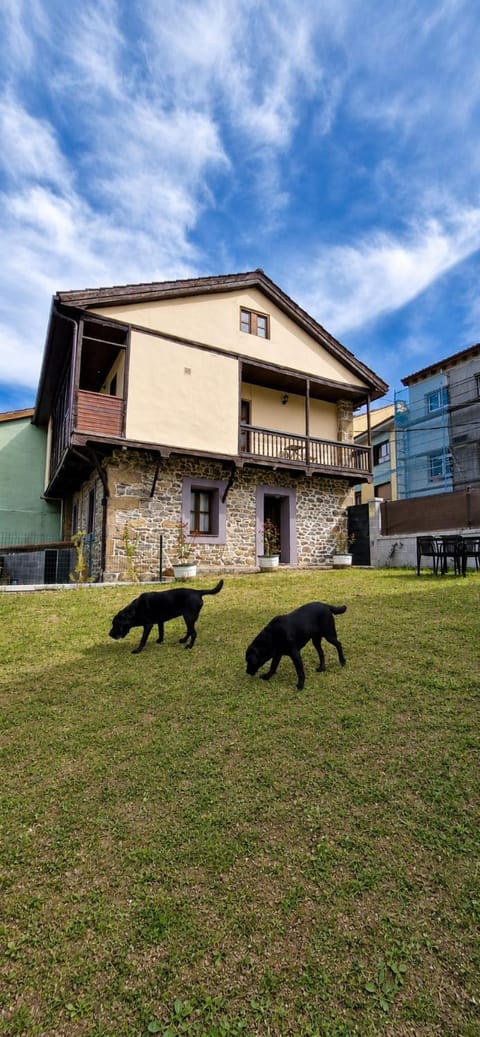 Property view